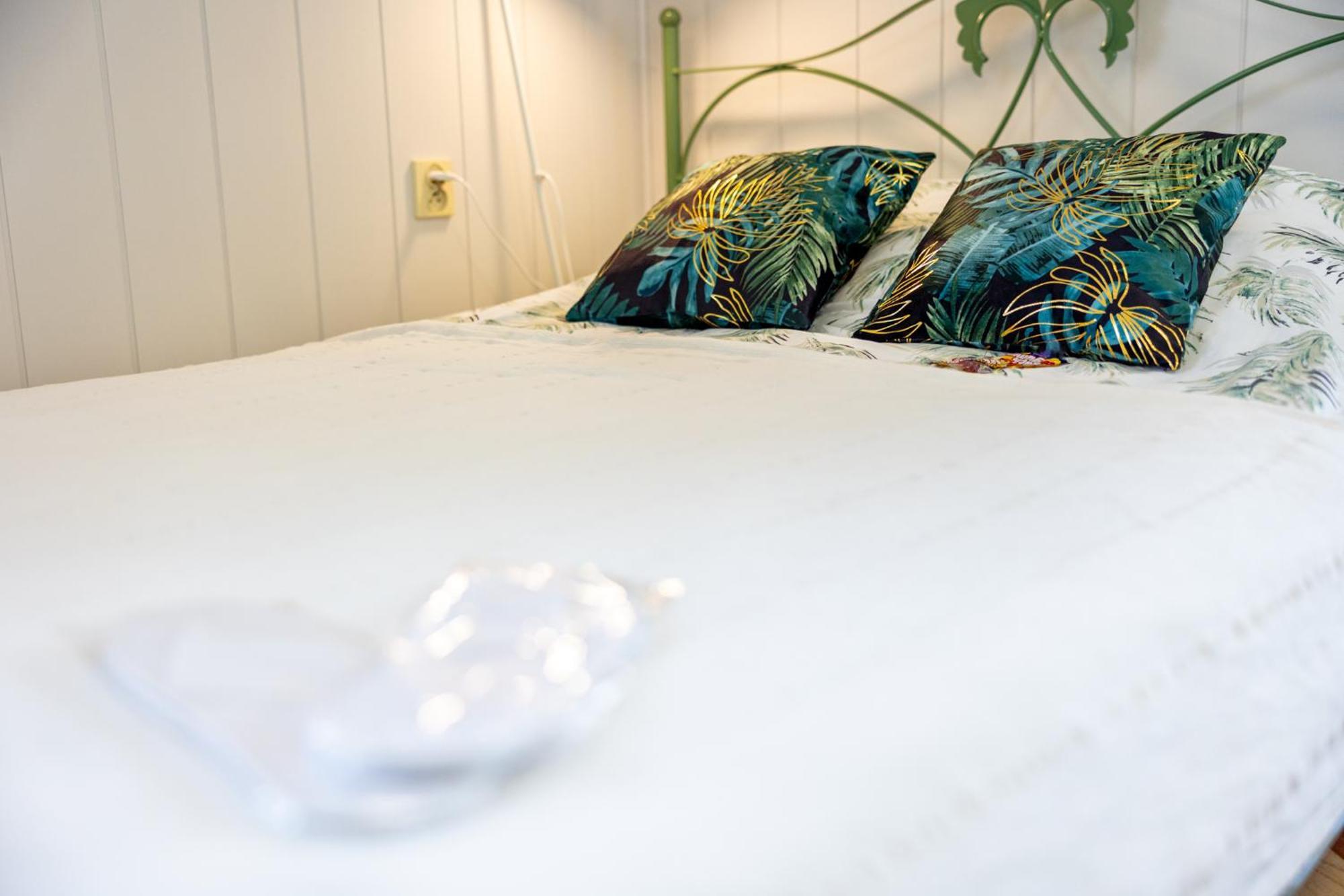 Apartamenty I Pokoje Blisko Morza Gryfa Pomorskiego 54 ミエンジズドロイェ エクステリア 写真